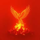 The Lady of the Light