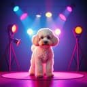 The famous French poodle 