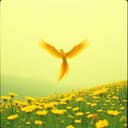 برافو يا شجاع