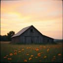 Whispers of the Meadow