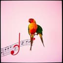 Mazinho do Pix, Irmão do Zé Rolinha