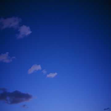 Midnight Breeze
