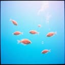 Aquariana apaixonada