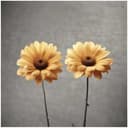 Marygold and Silverthorns