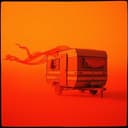 Wild Shadows Over the Campfire