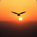 Long Live King Trump 