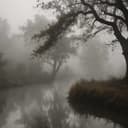 Tú Amor se quedó, como un verso, perdido en la bruma. Autor: A.A.Mc.V