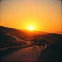 Timeless Trails of Love