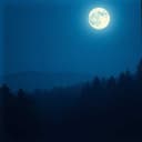 Born in the Velvet Hush