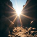 Willy's Electric Dance Fever