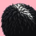 Everything changes Op2