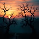 Shadows of a Father's Heart