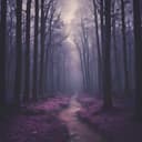 Shadows of the Night