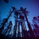 Le commencement de la fin