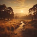 Świat Naszych Snów