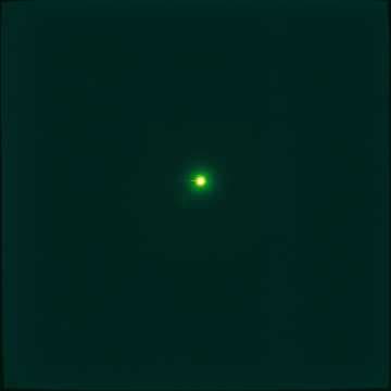 ほたる Firefly