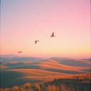 새로운 땅에서의 시작