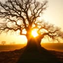 El Verano de nuestros Sueños