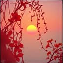 Junto a ti hasta el final 