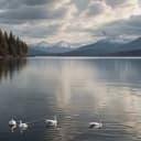 Акчарлаклы Күлдә