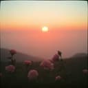 Angela tutta la mia vita