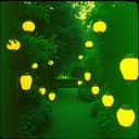 نورك فينا يا رسول الله