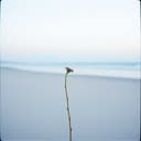 Crocked line Changes 