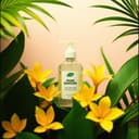 Desinfecto mi Conciencia