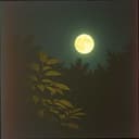 In the quiet I find you (final oud)