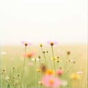 And That Didn’t Stop Me