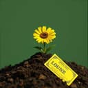 꿈에 똥 밟았는데 2등이래