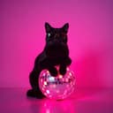 🔥 Espejito 8M 🔥