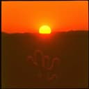 La Canción de los Vaqueros