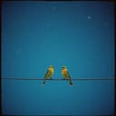 Amizade em Dois Tons