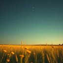 A Glimmer in the Dark