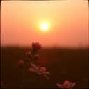 وفاء يا أجمل شيء