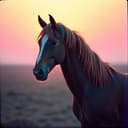 CARLOS MONTOYA SAKKO