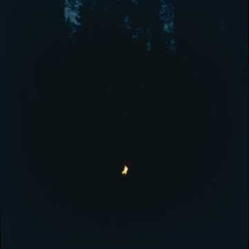 Silence lost love 