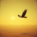 Donald Trump Is Gonna Save The World