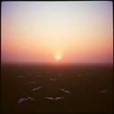 Si t'es encore là...