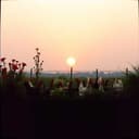 Vilorto, el Flamenco del Camión