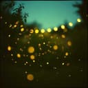 Moonlit Moments of Philosophy