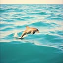 نايا بنت شاطره وحلوه ذكيه