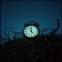 Shadows of a Broken Past