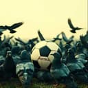 De Gele Oranje Fackel