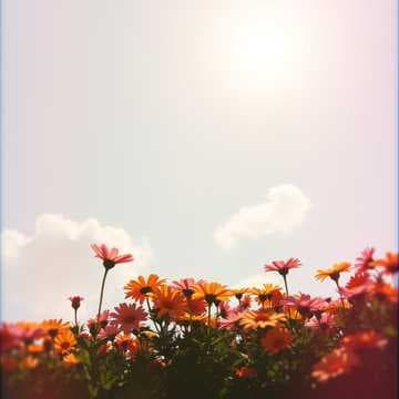 تسنيم صوت الطفولة