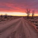 THE TEXAS CHAINSAW MASSACRE