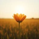 Talkin' 'Bout Feelings