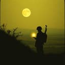 Lumière après l’Ombre