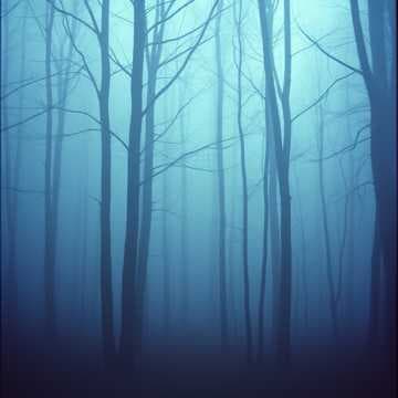 Edge of the Shadows